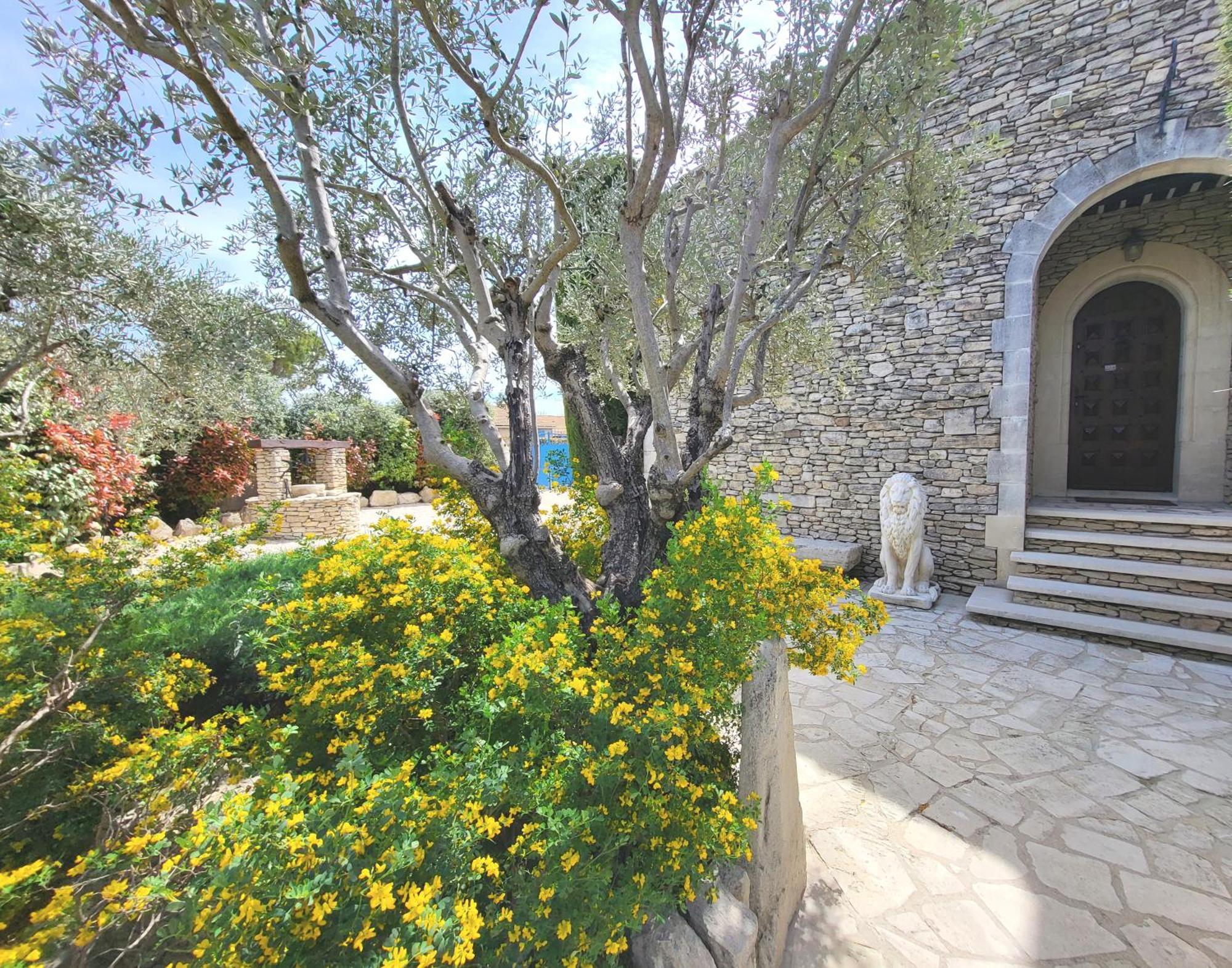 "La Massette Du Cheval Blanc" Villa De Caractere En Pierre LʼIsle-sur-la-Sorgue Exteriér fotografie